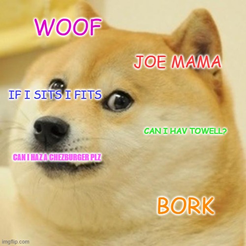 Doge | WOOF; JOE MAMA; IF I SITS I FITS; CAN I HAV TOWELL? CAN I HAZ A CHEZBURGER PLZ; BORK | image tagged in memes,doge | made w/ Imgflip meme maker