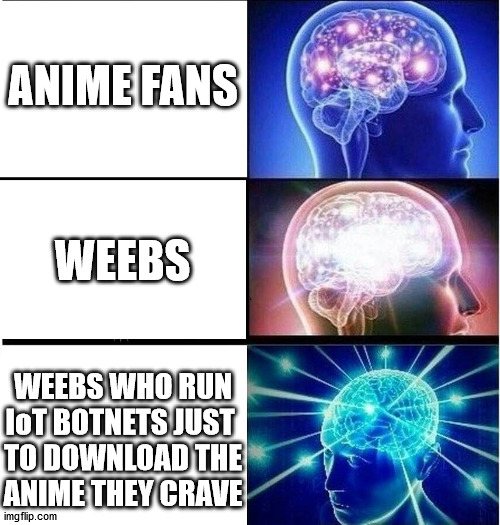 Expanding brain 3 panels | ANIME FANS; WEEBS; WEEBS WHO RUN
IoT BOTNETS JUST 
TO DOWNLOAD THE
ANIME THEY CRAVE | image tagged in expanding brain 3 panels | made w/ Imgflip meme maker
