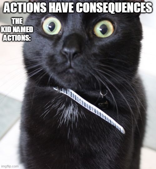 actions  tho | THE KID NAMED ACTIONS:; ACTIONS HAVE CONSEQUENCES | image tagged in memes,woah kitty | made w/ Imgflip meme maker