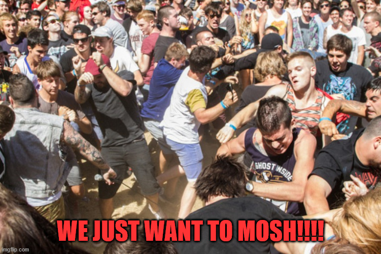 Mosh pit | WE JUST WANT TO MOSH!!!! | image tagged in mosh pit | made w/ Imgflip meme maker