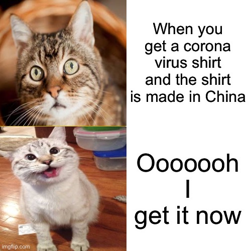 Catvid-19 | When you get a corona virus shirt and the shirt is made in China; Ooooooh I get it now | image tagged in funny,funny memes,funny meme,coronavirus,covid-19,memes | made w/ Imgflip meme maker