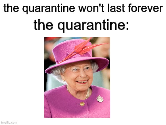 2020- | the quarantine:; the quarantine won't last forever | image tagged in blank white template | made w/ Imgflip meme maker