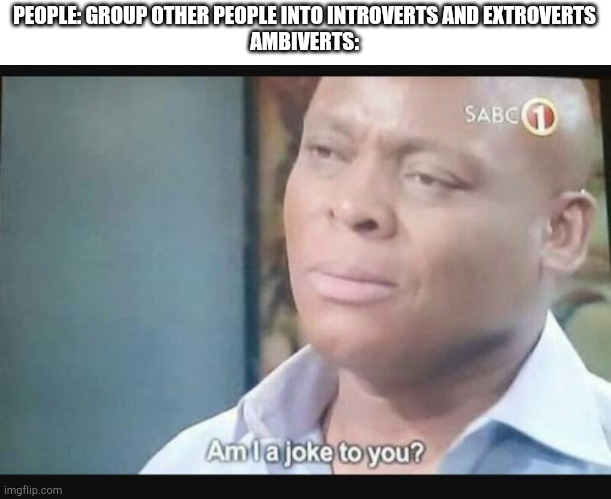 Am I a joke to you? | PEOPLE: GROUP OTHER PEOPLE INTO INTROVERTS AND EXTROVERTS
AMBIVERTS: | image tagged in am i a joke to you | made w/ Imgflip meme maker