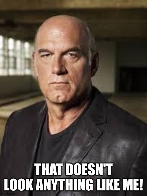 Jesse Ventura | THAT DOESN'T LOOK ANYTHING LIKE ME! | image tagged in jesse ventura | made w/ Imgflip meme maker
