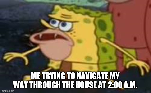 Spongegar | ME TRYING TO NAVIGATE MY WAY THROUGH THE HOUSE AT 2:00 A.M. | image tagged in memes,spongegar | made w/ Imgflip meme maker