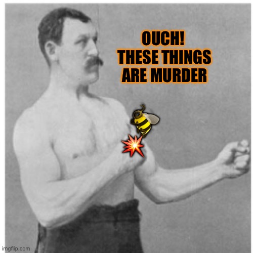 Overly Manly Man Meme | ? ? OUCH!  THESE THINGS ARE MURDER | image tagged in memes,overly manly man | made w/ Imgflip meme maker