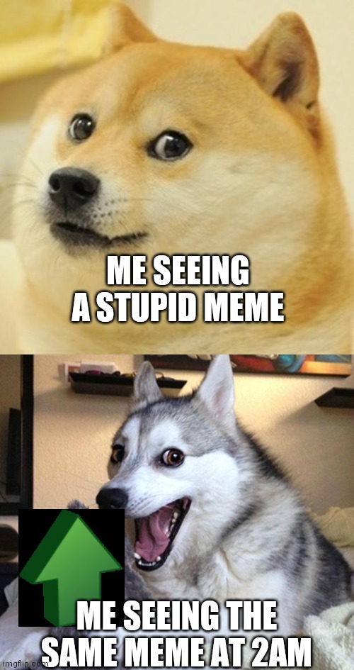 Judgement without sleep | ME SEEING A STUPID MEME; ME SEEING THE SAME MEME AT 2AM | image tagged in memes,doge,bad pun dog | made w/ Imgflip meme maker