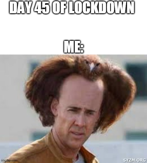 Please Wait... | DAY 45 OF LOCKDOWN; ME: | image tagged in funny | made w/ Imgflip meme maker