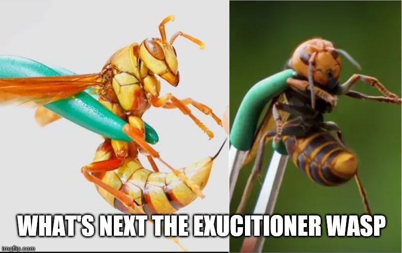 1000000000 views 0 upvote | WHAT'S NEXT THE EXUCITIONER WASP | made w/ Imgflip meme maker