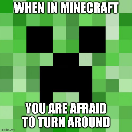 WHEN IN MINECRAFT; YOU ARE AFRAID TO TURN AROUND | image tagged in minecraft | made w/ Imgflip meme maker