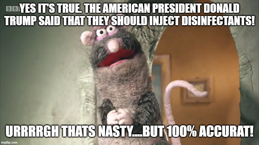 disinfect rat | YES IT'S TRUE. THE AMERICAN PRESIDENT DONALD TRUMP SAID THAT THEY SHOULD INJECT DISINFECTANTS! URRRRGH THATS NASTY....BUT 100% ACCURAT! | image tagged in rattus rattus | made w/ Imgflip meme maker