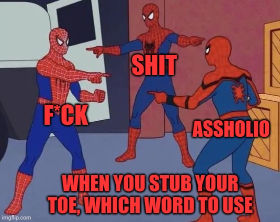 3 Spiderman Pointing | SHIT; F*CK; ASSHOLIO; WHEN YOU STUB YOUR TOE, WHICH WORD TO USE | image tagged in 3 spiderman pointing | made w/ Imgflip meme maker