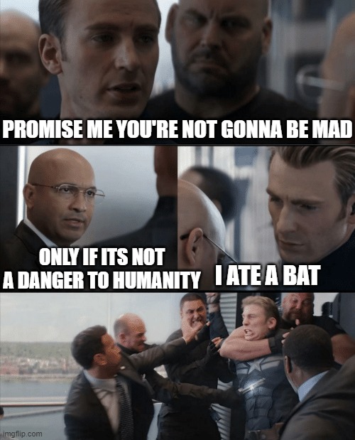 Captain America Elevator Fight | PROMISE ME YOU'RE NOT GONNA BE MAD; ONLY IF ITS NOT A DANGER TO HUMANITY; I ATE A BAT | image tagged in captain america elevator fight | made w/ Imgflip meme maker