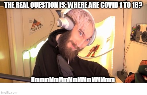 The Real Question (PewDiePie HmMMm) | THE REAL QUESTION IS: WHERE ARE COVID 1 TO 18? HmmmMmMmMmMMmMMMmm | image tagged in pewdiepie hmm,pewdiepie,pewds | made w/ Imgflip meme maker