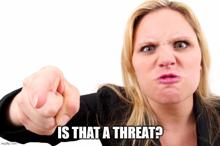 Offended woman | IS THAT A THREAT? | image tagged in offended woman | made w/ Imgflip meme maker