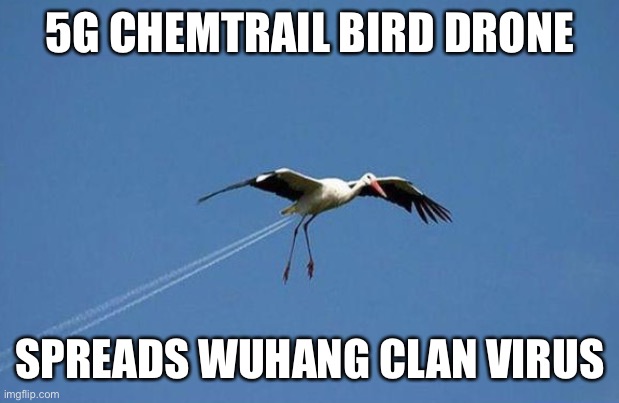 Chemtrail Bird | 5G CHEMTRAIL BIRD DRONE; SPREADS WUHANG CLAN VIRUS | image tagged in chemtrail,drone,5g,virus,wuhan,conspiracy | made w/ Imgflip meme maker