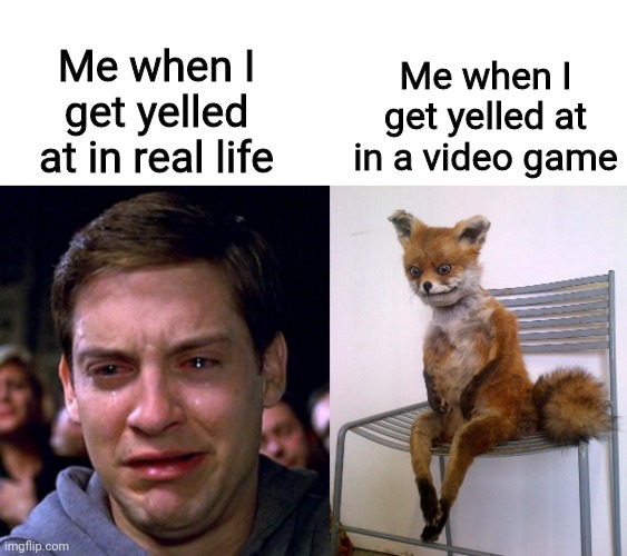 True fact about me | Me when I get yelled at in a video game; Me when I get yelled at in real life | image tagged in crying peter parker,stoned fox,memes,video games,real life | made w/ Imgflip meme maker
