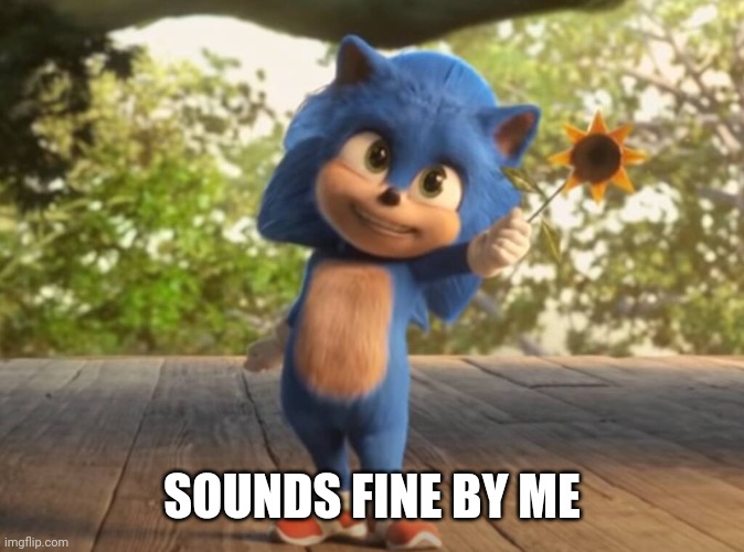 Baby Sonic | SOUNDS FINE BY ME | image tagged in baby sonic | made w/ Imgflip meme maker