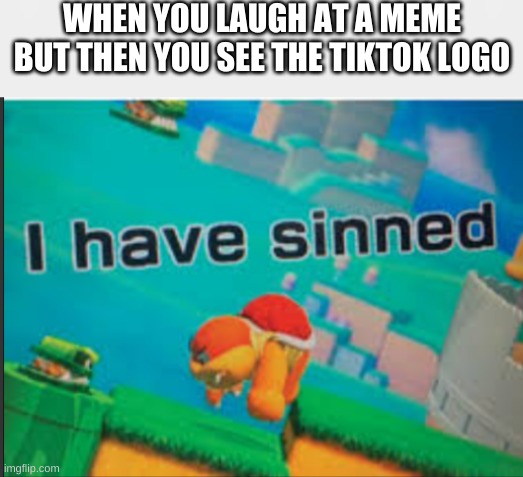 WHEN YOU LAUGH AT A MEME BUT THEN YOU SEE THE TIKTOK LOGO | image tagged in sinner | made w/ Imgflip meme maker
