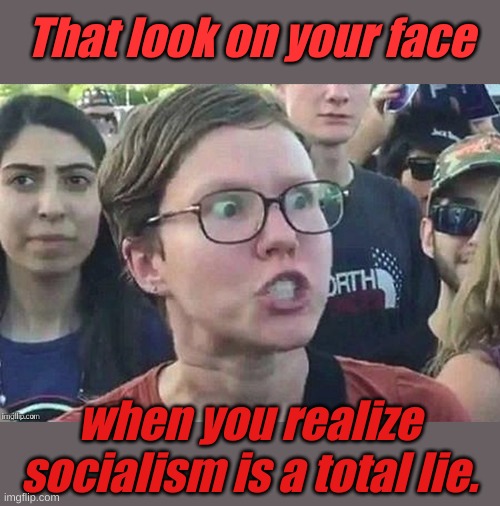 How can something so wrong feel so right? | That look on your face; when you realize socialism is a total lie. | image tagged in triggered snowflake | made w/ Imgflip meme maker