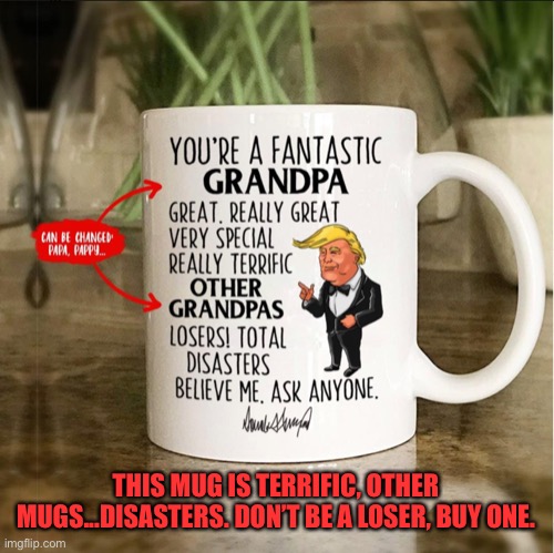 THIS MUG IS TERRIFIC, OTHER MUGS...DISASTERS. DON’T BE A LOSER, BUY ONE. | image tagged in mug | made w/ Imgflip meme maker