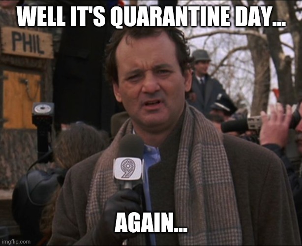 Quarantine Day | WELL IT'S QUARANTINE DAY... AGAIN... | image tagged in bill murray groundhog day | made w/ Imgflip meme maker