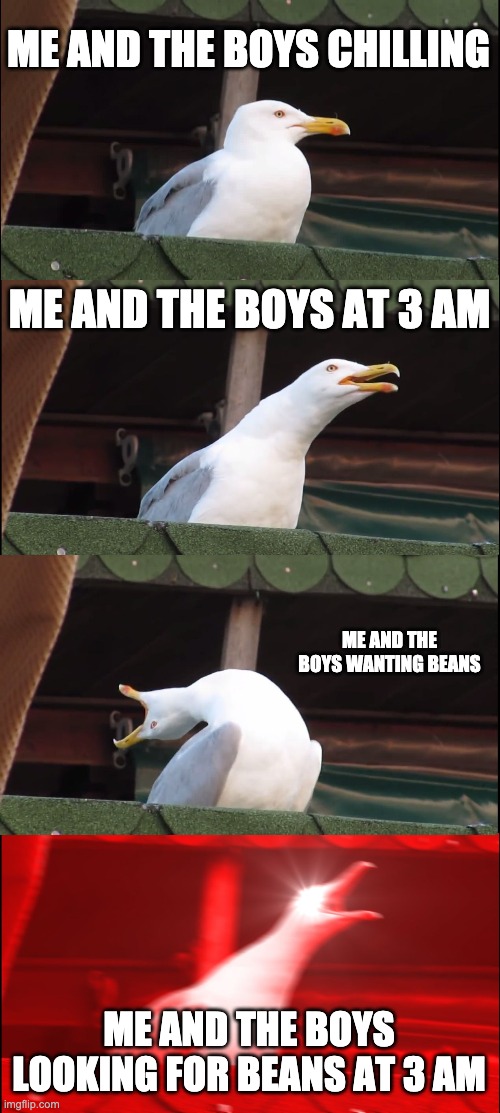 me and the boys made this | ME AND THE BOYS CHILLING; ME AND THE BOYS AT 3 AM; ME AND THE BOYS WANTING BEANS; ME AND THE BOYS LOOKING FOR BEANS AT 3 AM | image tagged in memes,inhaling seagull | made w/ Imgflip meme maker