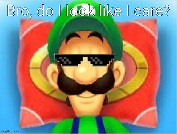 Luigi Does Not Care | Bro, do I look like I care? | image tagged in luigi does not care | made w/ Imgflip meme maker