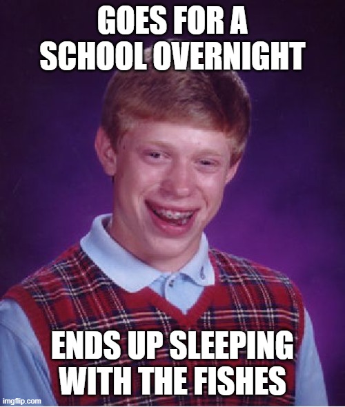 Bad Luck Brian Meme | GOES FOR A SCHOOL OVERNIGHT; ENDS UP SLEEPING WITH THE FISHES | image tagged in memes,bad luck brian | made w/ Imgflip meme maker