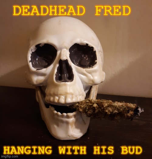 his bud | DEADHEAD FRED; HANGING WITH HIS BUD | image tagged in deadhead fred | made w/ Imgflip meme maker