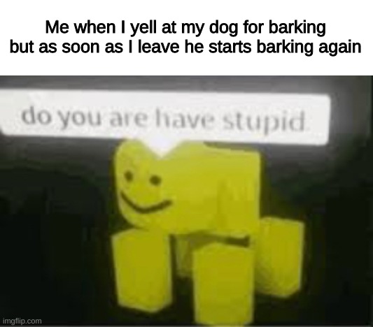 My Dog | Me when I yell at my dog for barking but as soon as I leave he starts barking again | image tagged in do you are have stupid | made w/ Imgflip meme maker