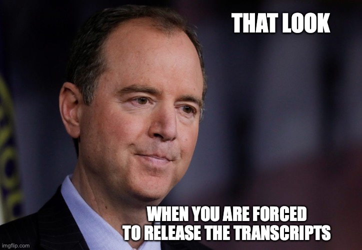 When you're forced to release the transcripts | THAT LOOK; WHEN YOU ARE FORCED TO RELEASE THE TRANSCRIPTS | image tagged in schiff,politics,adam schiff | made w/ Imgflip meme maker