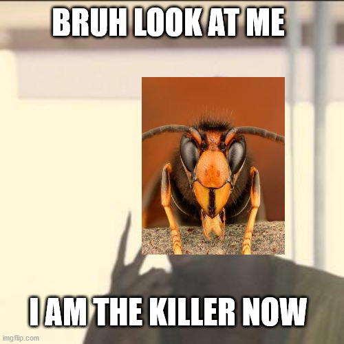 yep u heard that right | BRUH LOOK AT ME; I AM THE KILLER NOW | image tagged in memes,look at me | made w/ Imgflip meme maker