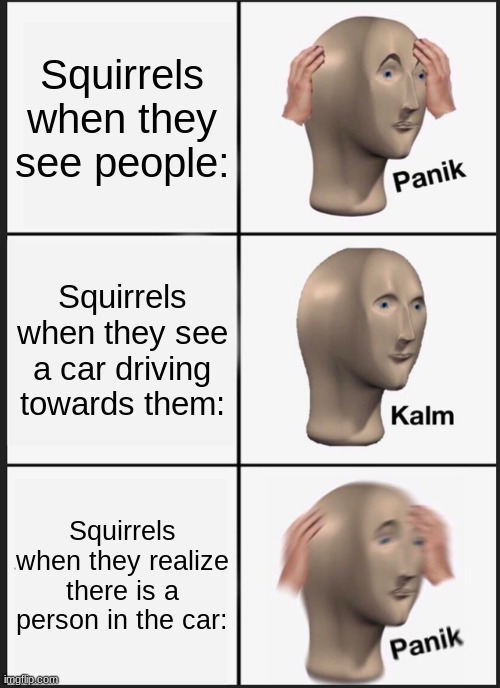 E | Squirrels when they see people:; Squirrels when they see a car driving towards them:; Squirrels when they realize there is a person in the car: | image tagged in memes,panik kalm panik | made w/ Imgflip meme maker