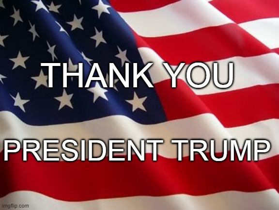 America thankful to President Trump | THANK YOU; PRESIDENT TRUMP | image tagged in american flag,thank you,donald trump | made w/ Imgflip meme maker