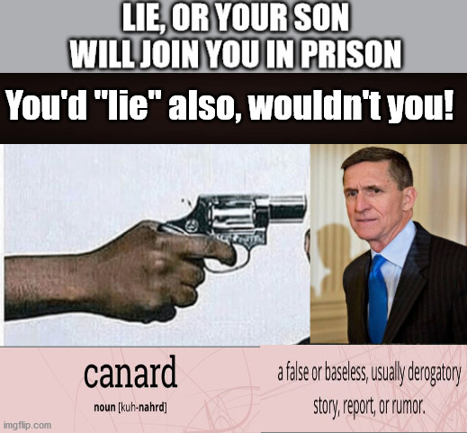 General FLYNN charged with a canard | You'd "lie" also, wouldn't you! | image tagged in canard,impeachment,trump,flynn,2020 elections | made w/ Imgflip meme maker