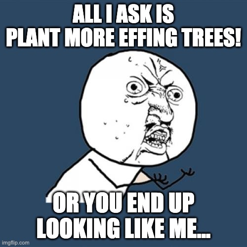 Plant Trees or be ugly | ALL I ASK IS PLANT MORE EFFING TREES! OR YOU END UP LOOKING LIKE ME... | image tagged in memes,y u no,ugly,plant trees,please | made w/ Imgflip meme maker