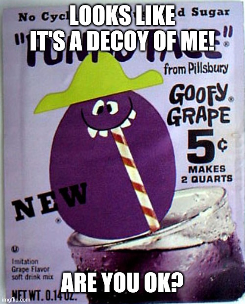 Goofy Grape | LOOKS LIKE IT'S A DECOY OF ME! ARE YOU OK? | image tagged in goofy grape | made w/ Imgflip meme maker