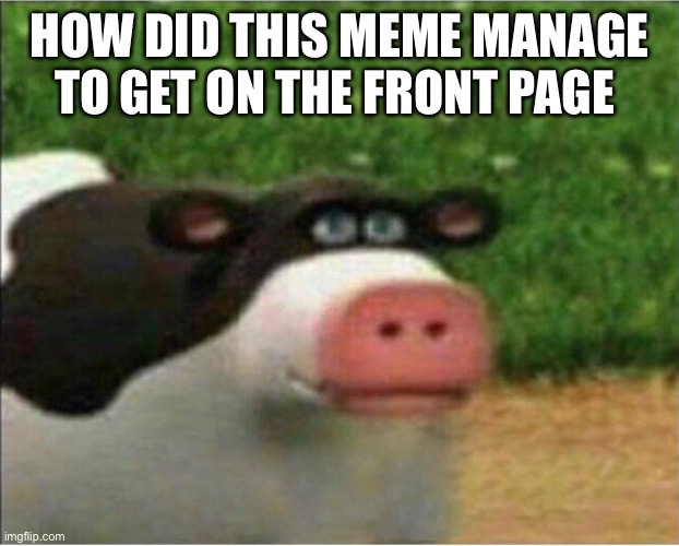 perhaps barnyard | HOW DID THIS MEME MANAGE TO GET ON THE FRONT PAGE | image tagged in perhaps barnyard | made w/ Imgflip meme maker