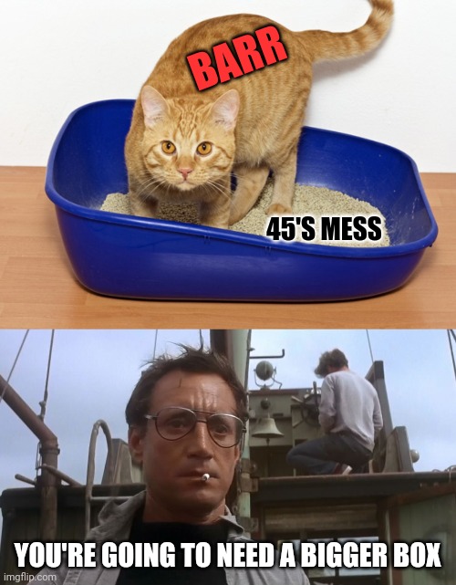 BARR; 45'S MESS; YOU'RE GOING TO NEED A BIGGER BOX | image tagged in going to need a bigger boat,litterbox | made w/ Imgflip meme maker