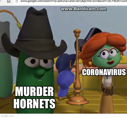 LARRY AND PETUNIA | MURDER HORNETS CORONAVIRUS | image tagged in larry and petunia | made w/ Imgflip meme maker