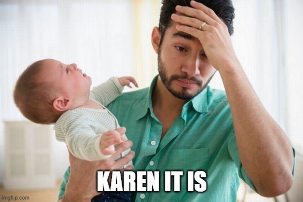 Newborn Dads | KAREN IT IS | image tagged in newborn dads | made w/ Imgflip meme maker