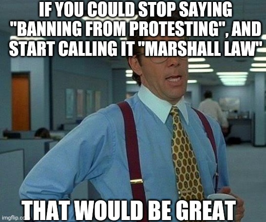 You NY | IF YOU COULD STOP SAYING "BANNING FROM PROTESTING", AND START CALLING IT "MARSHALL LAW"; THAT WOULD BE GREAT | image tagged in memes,that would be great | made w/ Imgflip meme maker