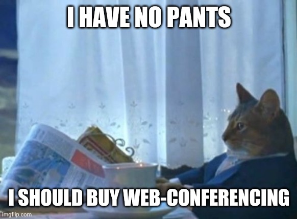 I Should Buy A Boat Cat Meme | I HAVE NO PANTS; I SHOULD BUY WEB-CONFERENCING | image tagged in memes,i should buy a boat cat,web-conference,absurd,richest individual alive,randon | made w/ Imgflip meme maker