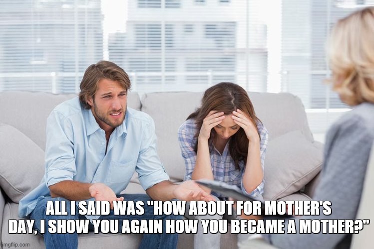 couples therapy | ALL I SAID WAS "HOW ABOUT FOR MOTHER'S DAY, I SHOW YOU AGAIN HOW YOU BECAME A MOTHER?" | image tagged in couples therapy | made w/ Imgflip meme maker