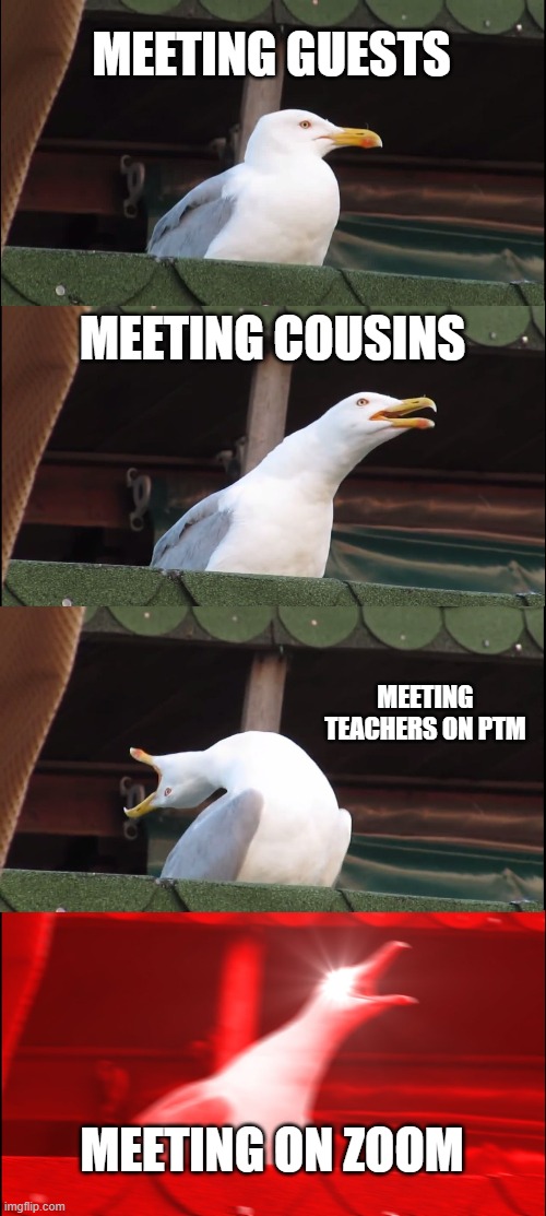 Inhaling Seagull | MEETING GUESTS; MEETING COUSINS; MEETING TEACHERS ON PTM; MEETING ON ZOOM | image tagged in memes,inhaling seagull,funny memes | made w/ Imgflip meme maker