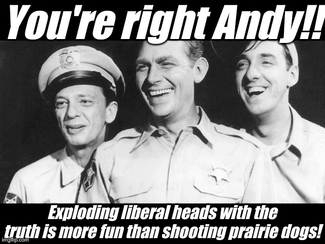 Andy! Andy! | You're right Andy!! Exploding liberal heads with the truth is more fun than shooting prairie dogs! | image tagged in andy griffith and the boys | made w/ Imgflip meme maker