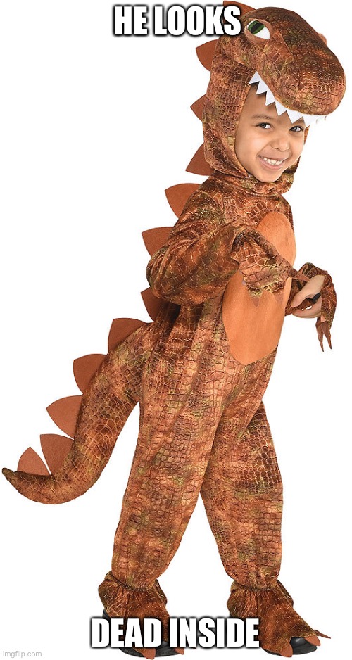 Dino kid | HE LOOKS; DEAD INSIDE | image tagged in blank white template | made w/ Imgflip meme maker