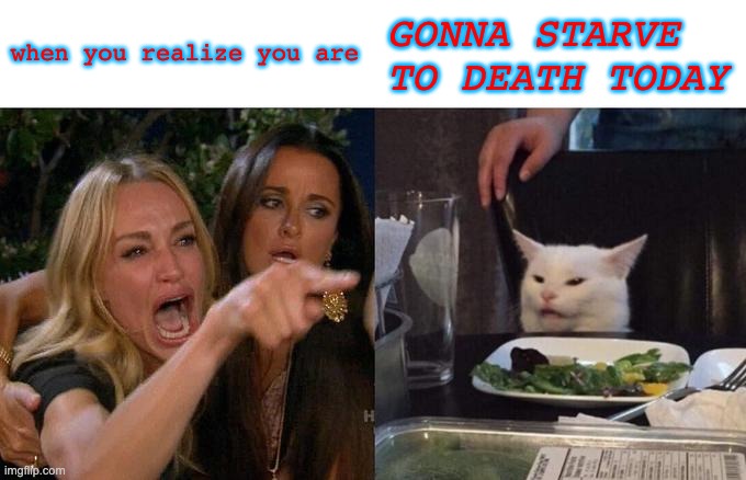 Woman Yelling At Cat Meme | when you realize you are; GONNA STARVE TO DEATH TODAY | image tagged in memes,woman yelling at cat | made w/ Imgflip meme maker