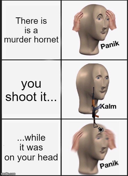 gotcha | There is is a murder hornet; you shoot it... ...while it was on your head | image tagged in memes,panik kalm panik | made w/ Imgflip meme maker